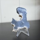 Blå Fossiliert Korall #8 thumbnail