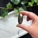 Golden Healer & Pyritt Håndstein #16 thumbnail