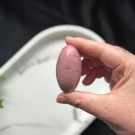 Unik Rosa Forsteinet Tre Shiva #9 thumbnail