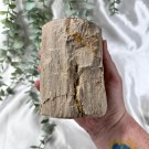 Forsteinet Tre Telysholder Høy thumbnail