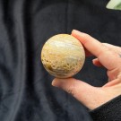 Gul Crazy Lace Agat Kule thumbnail