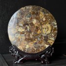 Stor Ammonitt Plate m/gratis holder [26,5cm] thumbnail