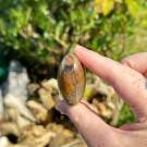 Golden Healer & Pyritt Hjerte #10 thumbnail