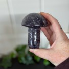 Stor Nydelig Lepidolitt Sopp thumbnail