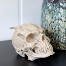 Vel Unt’s Demon Skull - Fantasy Hodeskalle (KUN 1) thumbnail