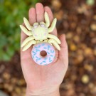 Medium Spider Donut - Vanilla Tuttifrutti thumbnail