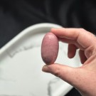 Unik Rosa Forsteinet Tre Shiva #10 thumbnail