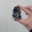 Blekksprut i Sodalitt thumbnail