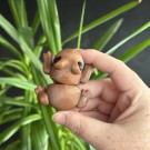 Flexi Sjokolade Frosk thumbnail