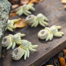 Mini Spider Donut - Vanilla Chocolate/Vanilje Sjokolade thumbnail