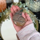 Sjø Jaspis Ammonitt Utskjæring thumbnail