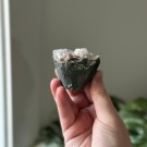 Rød Apofylitt thumbnail