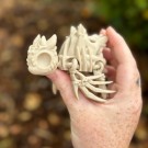 Hollow Skeleton Turtle thumbnail