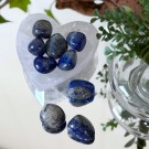 Lapis Lazuli Tromlet Små-Medium (flere valg/str) thumbnail
