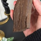 Krystallisert Forsteinet Tre fra Zwenkau, Tyskland #4 thumbnail