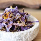 Vel Unt's Drømmehage ~ Blue Lotus/Blå Lotus Blader thumbnail