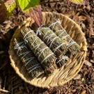 Yerba Buena Bunt [10cm] thumbnail