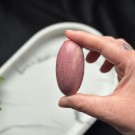 Unik Rosa Forsteinet Tre Shiva #5  thumbnail