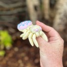 Medium Spider Donut - Vanilla Tuttifrutti thumbnail