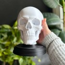 Hodeskalle - Memento Mori  thumbnail