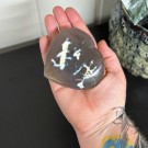 Orca Agat Hjerte #2 (Spekkhoggersteinen) thumbnail