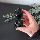 Svart Obsidian Månekatt thumbnail