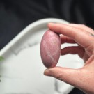 Unik Rosa Forsteinet Tre Shiva #4  thumbnail