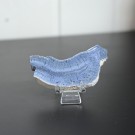 Blå Fossiliert Korall #5  thumbnail