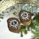 Septarian Nodule Par #3 thumbnail