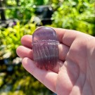 Fluoritt Jellyfish [6] thumbnail