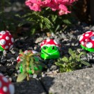 Frosk med fluesopp hatt thumbnail