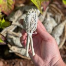 California Hvit Salvie - Liten Torch thumbnail