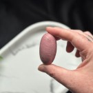 Unik Rosa Forsteinet Tre Shiva #10 thumbnail