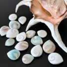 En bit av velunt.no ~ GIGA Mystery Boks - Din pris: 5000,- (fem tusen) Få varer til verdi 6500kr! + GAVER  thumbnail