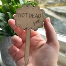 Vel Unt's Plant Stakes - NOT DEAD yet thumbnail