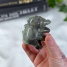 Stor Labradoritt Edderkopp** thumbnail