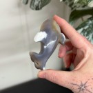 Orca Agat Spekkhogger #1 thumbnail