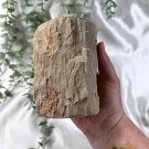 Forsteinet Tre Telysholder Høy thumbnail