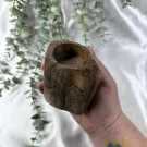 Forsteinet Tre Telysholder Lav  thumbnail