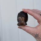 Regnbue Fluoritt Snegle thumbnail