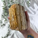 Forsteinet Tre Telysholder Høy thumbnail