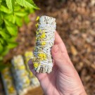 Hvit Salvie Bunt & Gul Sinuata  thumbnail