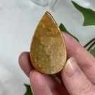 Agatisert Korall/Korall Fossil Dråpe #1 thumbnail