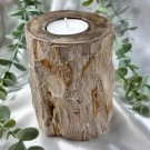 Forsteinet Tre Telysholder Høy thumbnail