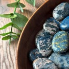 Rosa Dumortieritt Lommestein thumbnail