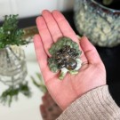 Edderkopp på blad - Fruit Jasper & Serpentin #1 thumbnail