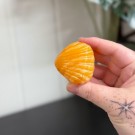 Oransje Kalsitt Skjell thumbnail
