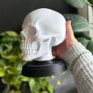 Hodeskalle - Memento Mori  thumbnail