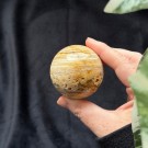 Gul Crazy Lace Agat Kule thumbnail