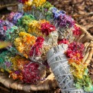 Hvit Salvie & Meksikansk Verbasco Blomster  thumbnail